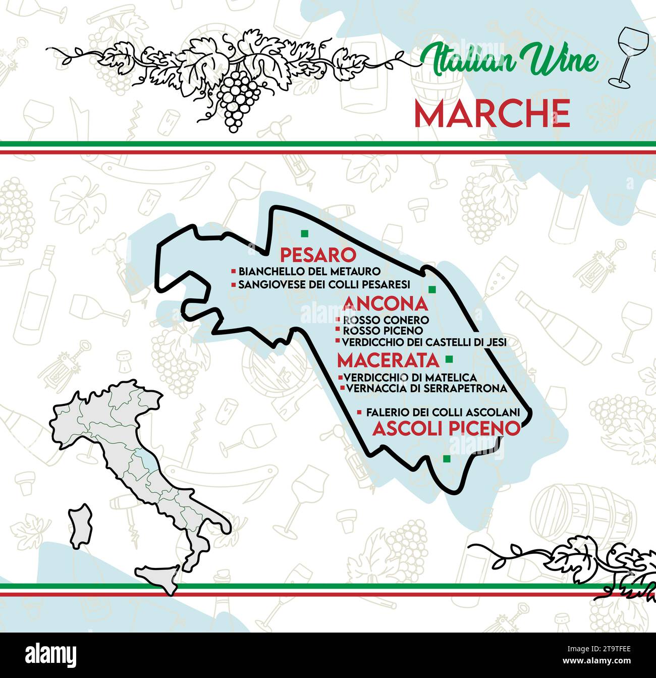 Carta dei vini tipici marchigiani, Italia. illustrazione vettoriale Illustrazione Vettoriale