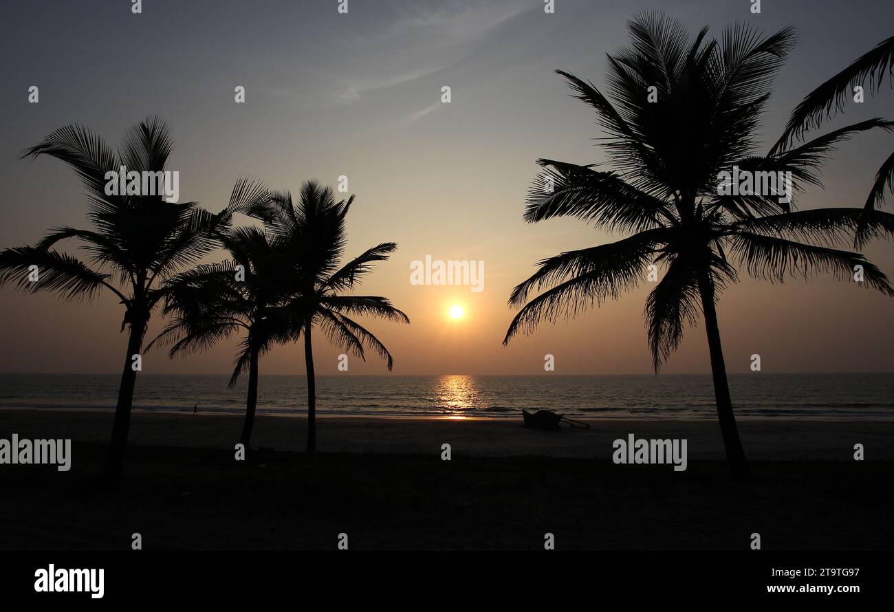 Una vista generale delle palme da cocco e di una barca da pesca sulla spiaggia mentre il sole tramonta a Colva Beach a Goa, India Foto Stock