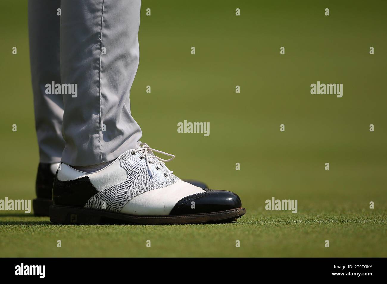 Scarpe da golf bianche e nere. Foto Stock