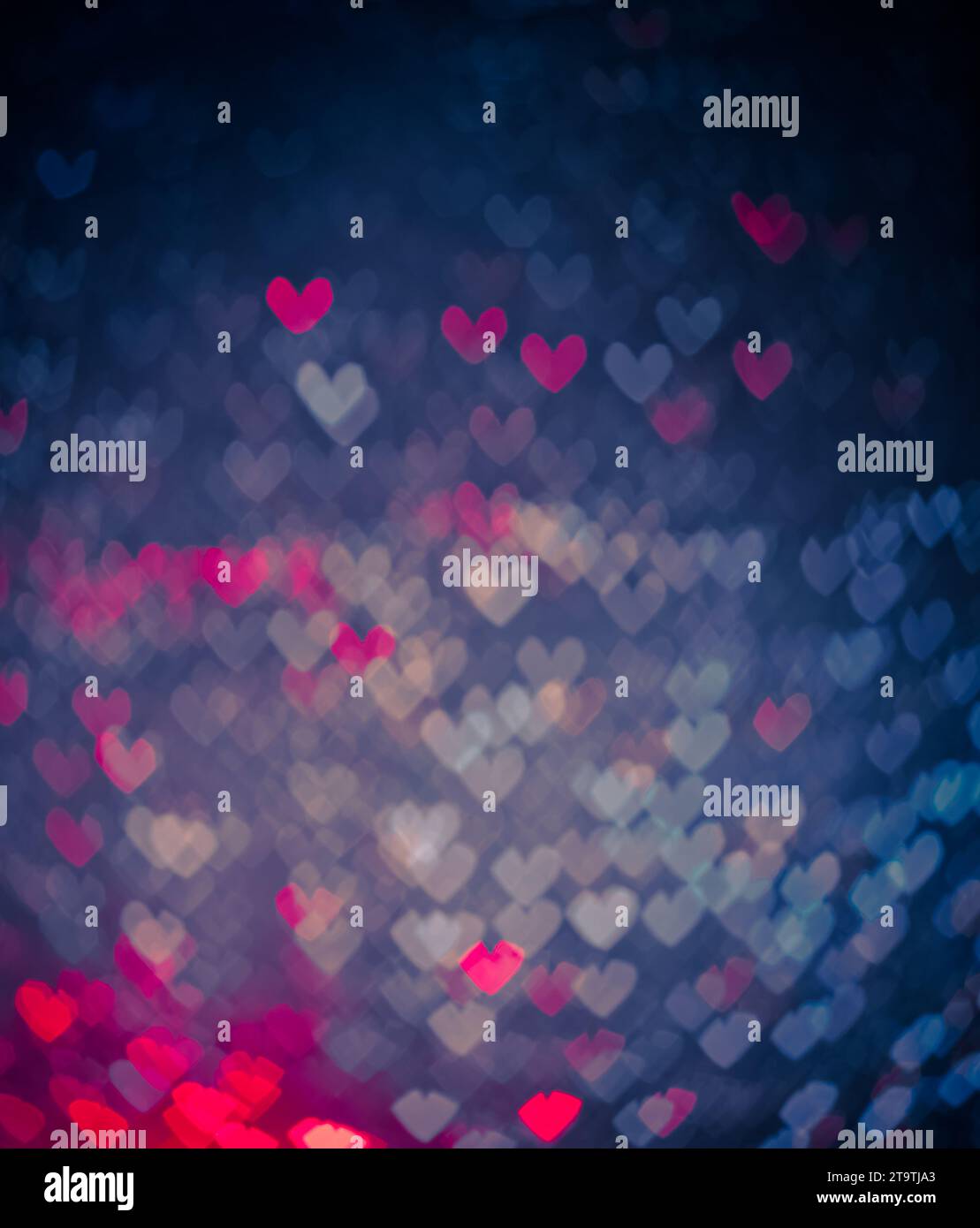 cuori blu e rosa come sfondo, san valentino e concetto d'amore Foto Stock