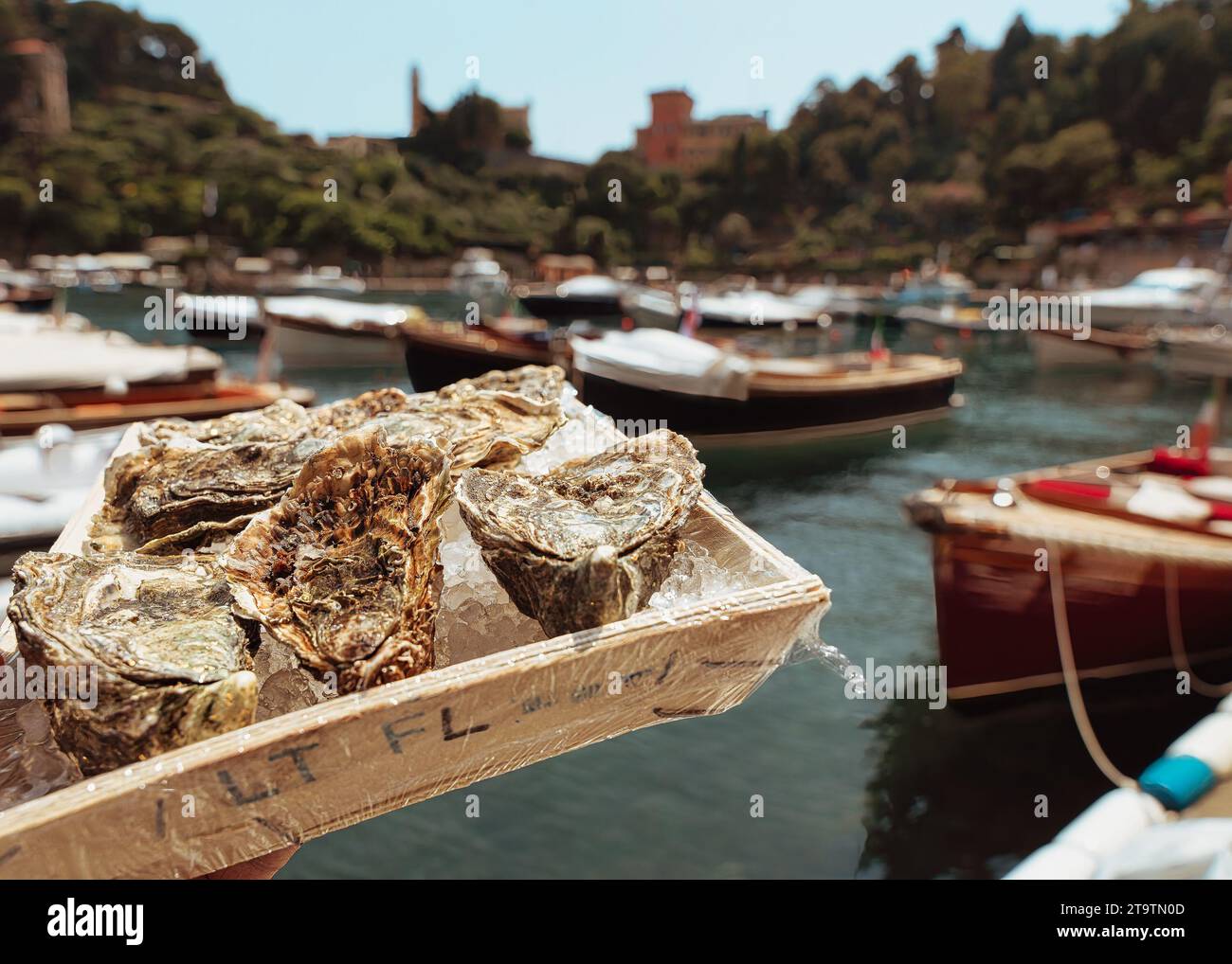Portofino, dove ogni piatto è una sinfonia di sapori mediterranei. Ho apprezzato il mio palato con cibo fresco, pesto aromatico e olio d'oliva locale. Foto Stock
