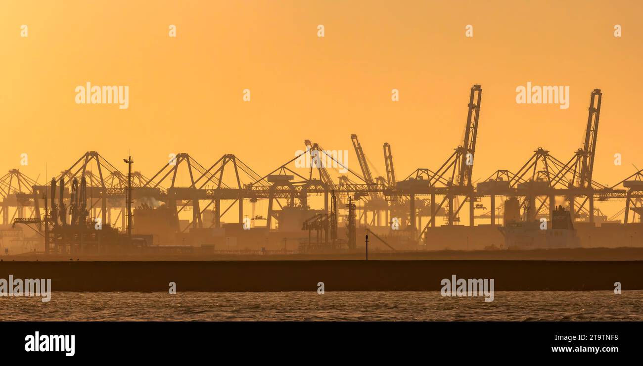 Area industriale olandese con gru durante il tramonto a Europoort, porto di Rotterdam Foto Stock