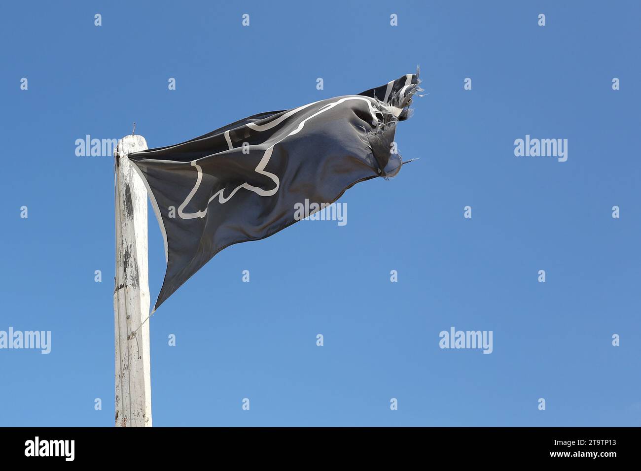 Vista generale di una bandiera di avvistamento dello squalo Nero su uno sfondo blu a Muizenberg Beach a città del Capo, in Sudafrica. Una bandiera nera con Sha bianco Foto Stock