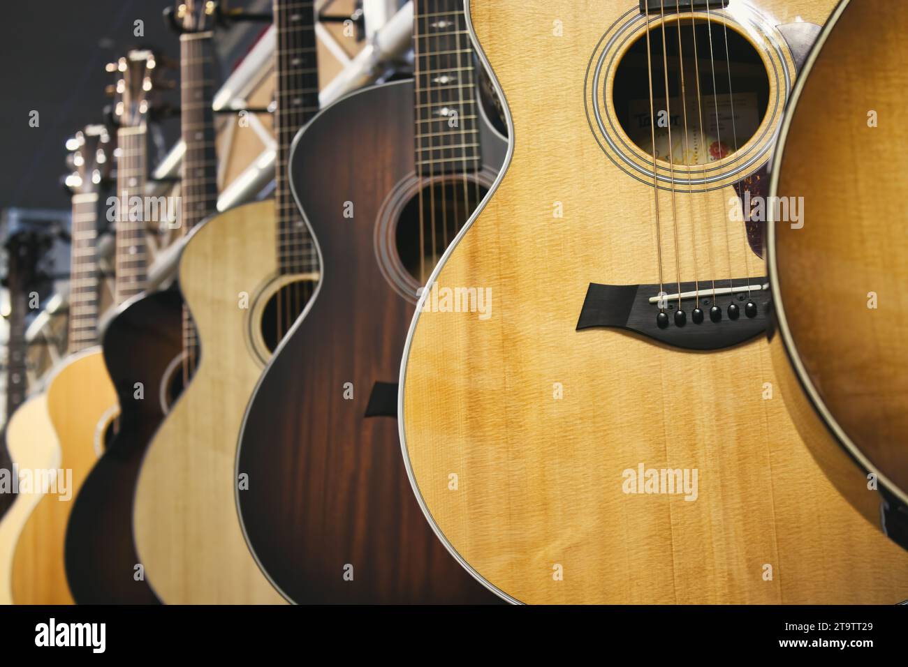 Una collezione di chitarre acustiche del marchio Taylor appese di fila Foto Stock