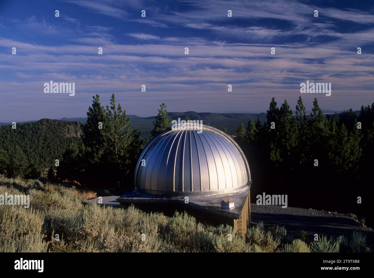 Pino osservatorio di montagna, Deschutes National Forest, Oregon Foto Stock