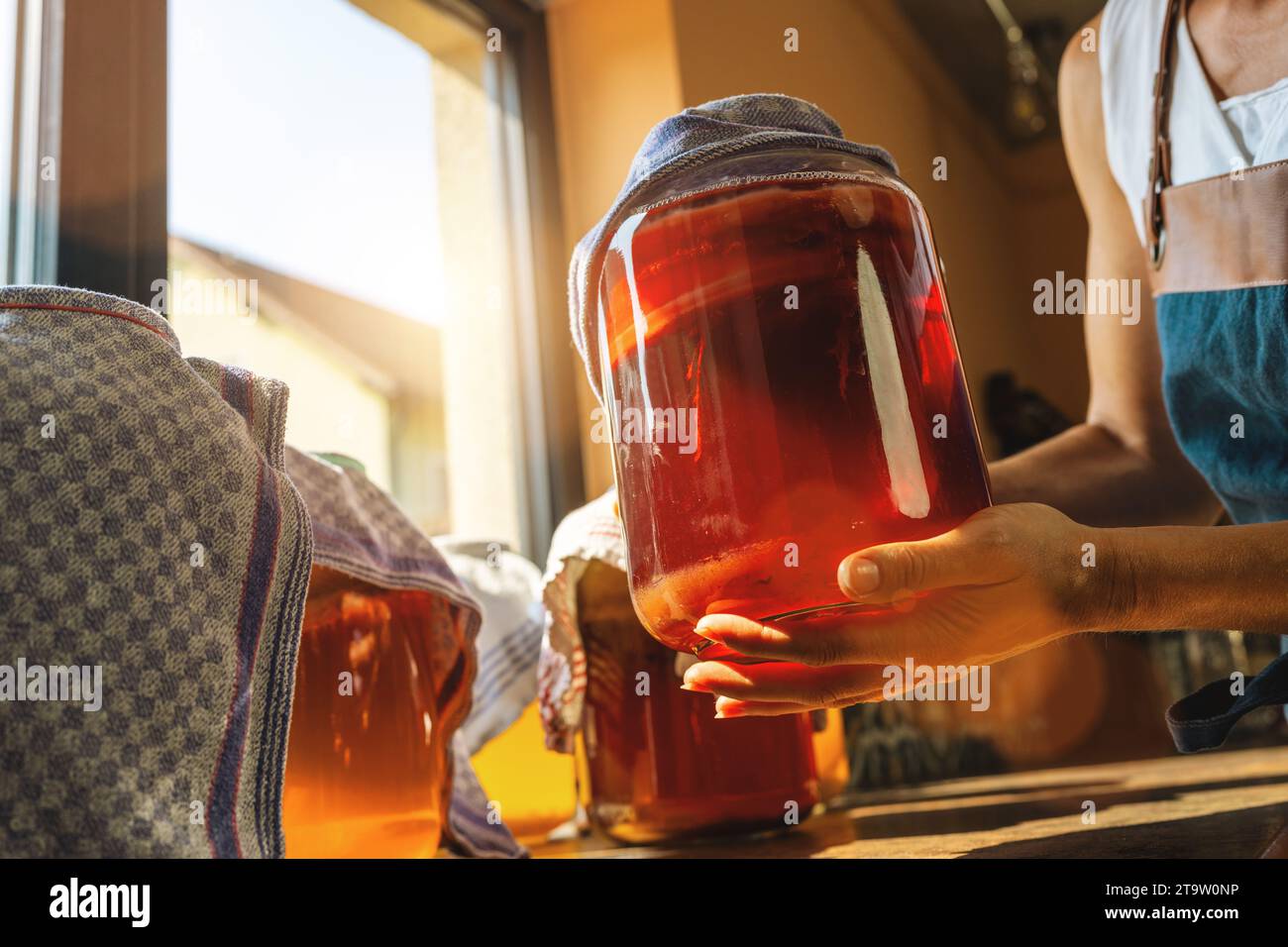 Mani di donna che tengono in mano un grande vaso da tre litri di tè kombucha con funghi. Cibo fermentato sano, bevanda nutrizionale probiotica per un buon equilibrio digestivo Foto Stock