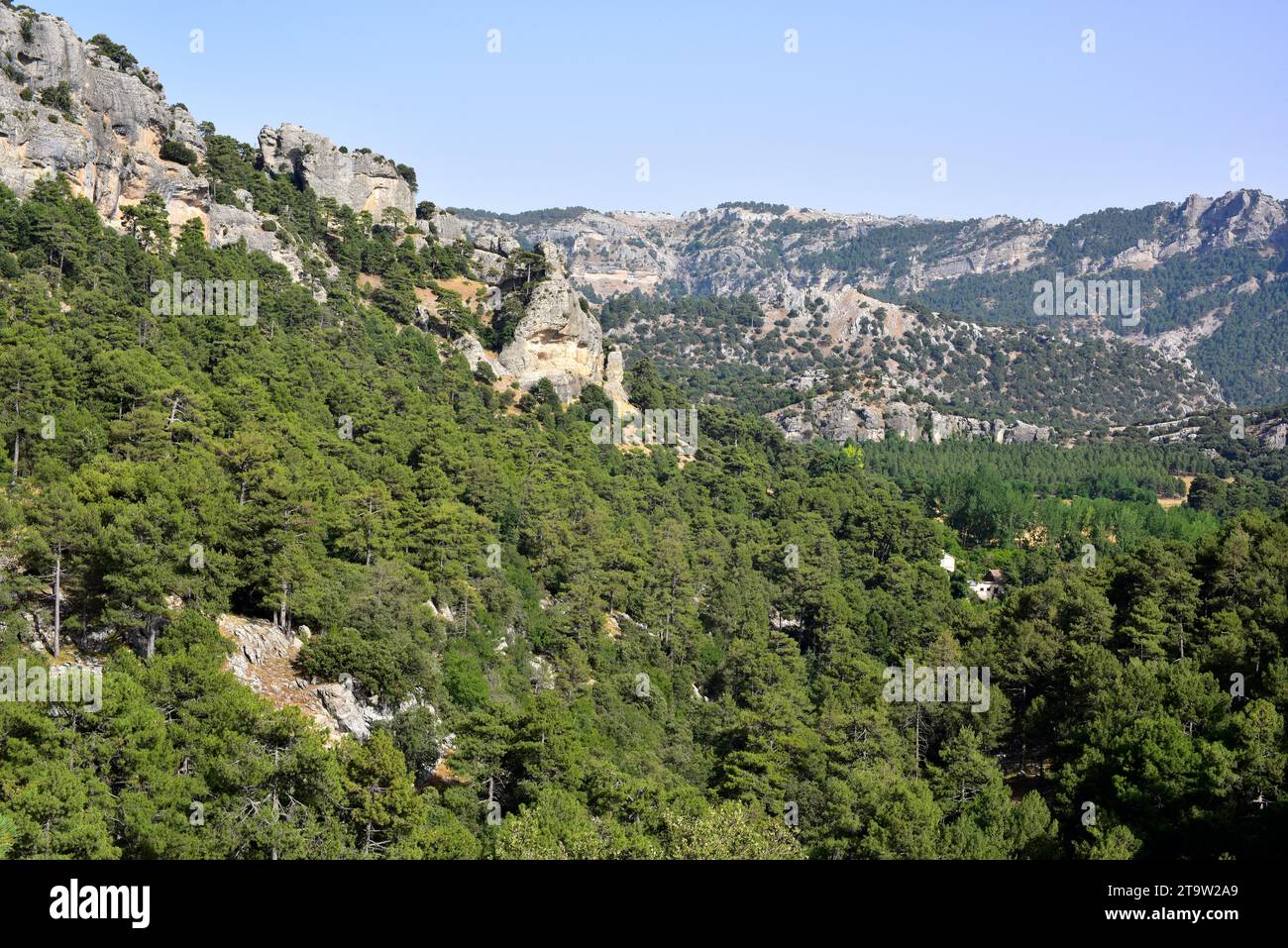 Parco Naturale della Sierra de Cazorla, Jaén, Andalusia, Spagna. Foto Stock