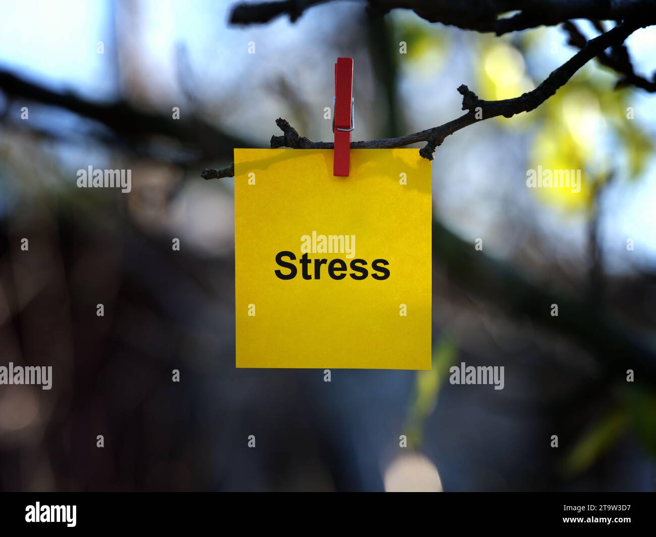 Una nota di carta gialla con la parola stress su di essa attaccata a un ramo dell'albero con una spilla per abiti. Primo piano. Foto Stock