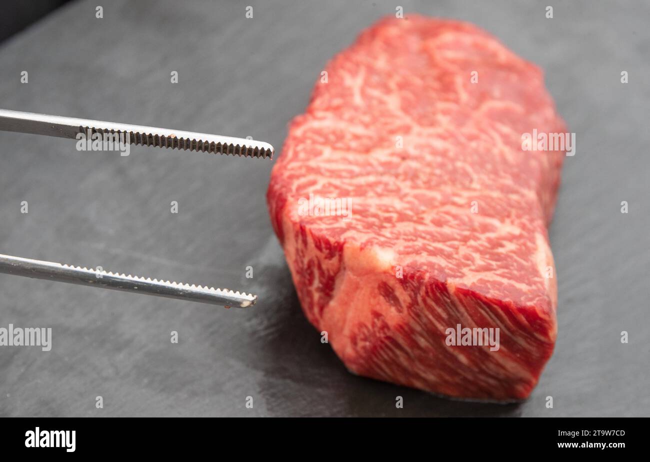 Grillsaison MIT den steigenden Temperaturen zieht es die Menschen immer mehr nach draußen. Immer öfter wird bei vielen auch der Grill angeschmissen. Ein Lampertheimer Grillexperte verrät, era man dabei alles verkehrt machen kann. Und eine Metzgerei berichtet, era Die Sommertrends werden. 21.05.2022 Bürstadt - Boxheimerhof Grillsaison MIT den steigenden Temperaturen zieht es die Menschen immer mehr nach draußen. Immer öfter wird bei vielen auch der Grill angeschmissen. Ein Lampertheimer Grillexperte verrät, era man dabei alles verkehrt machen kann. Und eine Metzgerei berichtet, era Die Sommertr Foto Stock