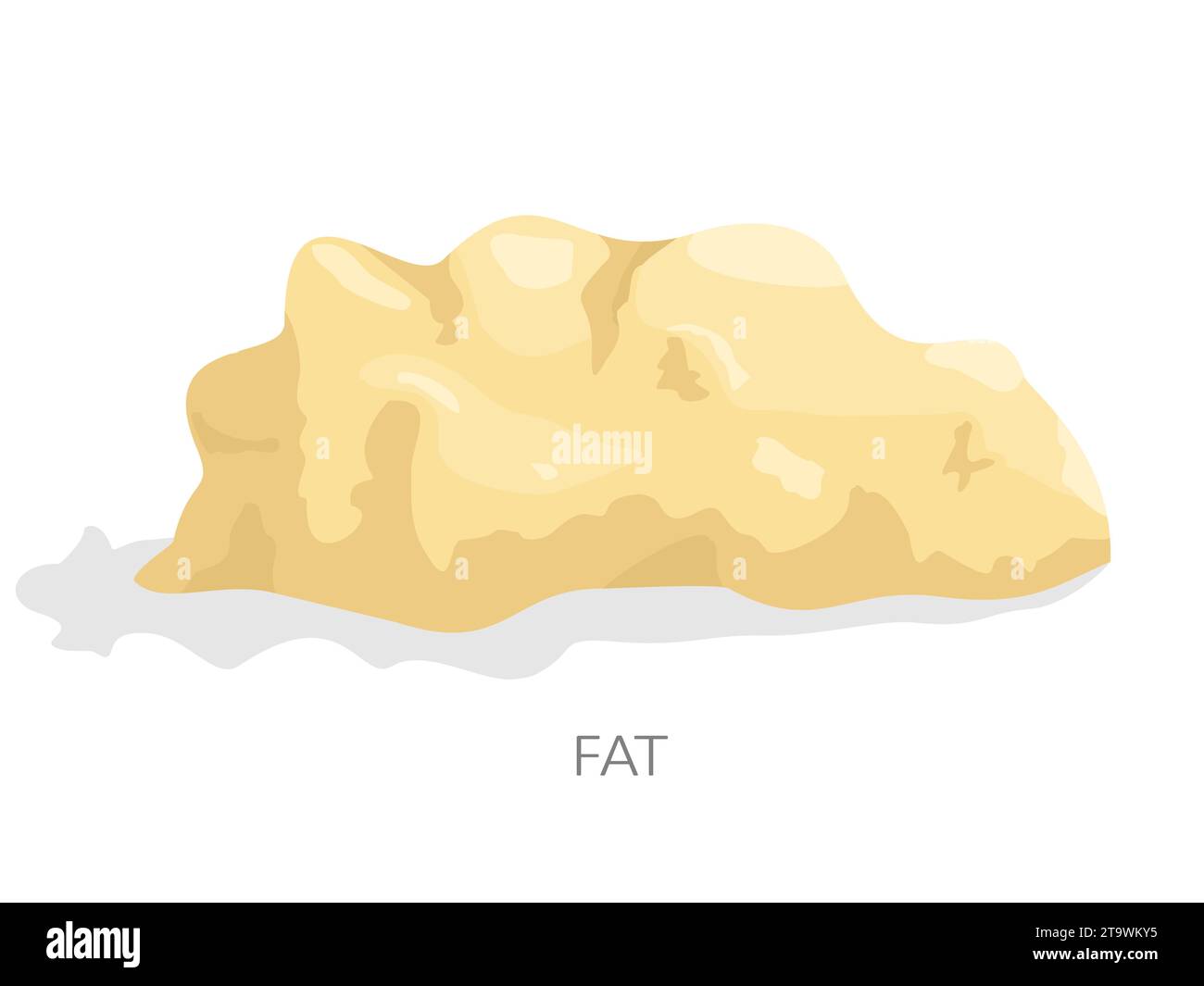 Tessuto adiposo bianco isolato su sfondo bianco. Il tessuto adiposo ha il ruolo di conservare goccioline lipidiche e acidi grassi. Illustrazione vettoriale. Illustrazione Vettoriale