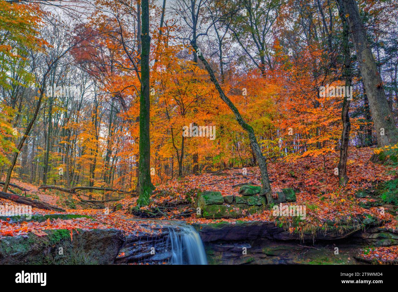 Vista delle cascate Dundee in autunno, Beach City Wilderness area, Ohio Foto Stock