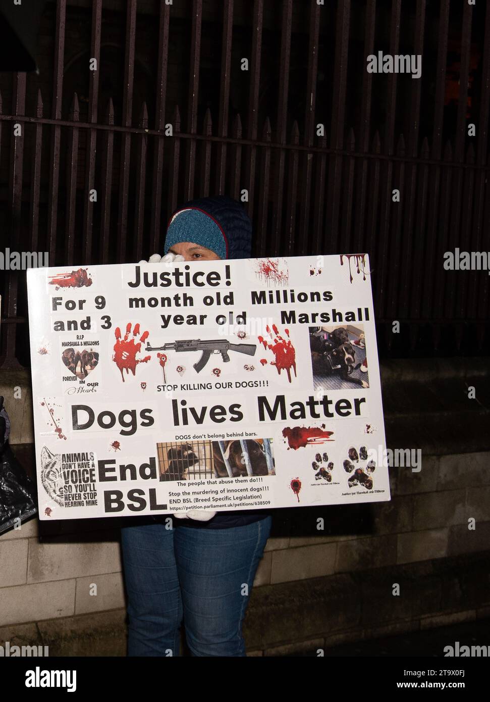 Londra, Regno Unito. 27 novembre 2023. I manifestanti erano fuori dal Parlamento stasera, mentre in Parlamento si stava svolgendo un dibattito a seguito di una petizione firmata da 606.608 persone che chiedeva al governo di non vietare il bullo XL. Dal 1° febbraio 2024 sarà un reato possedere un bullo XL in Inghilterra e Galles a meno che il proprietario non abbia un certificato di esenzione per il cane. Questa nuova legge è stata attuata dal governo a seguito di un certo numero di persone uccise o gravemente ferite dagli attacchi dei XL Bully Dogs. È stato riferito che almeno 246 cani bullo XL saranno eutanasia quando verrà il divieto Foto Stock