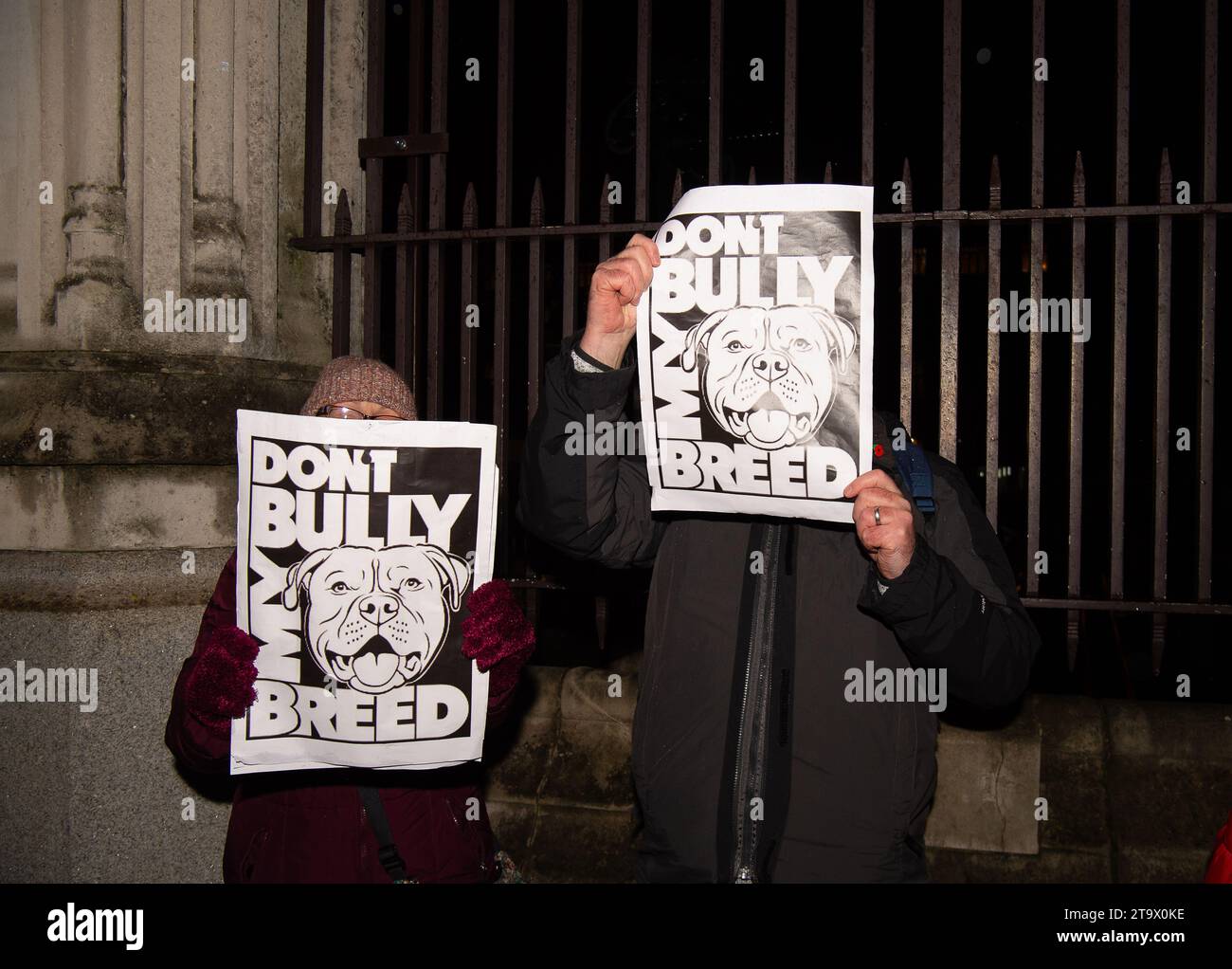 Londra, Regno Unito. 27 novembre 2023. I manifestanti erano fuori dal Parlamento stasera, mentre in Parlamento si stava svolgendo un dibattito a seguito di una petizione firmata da 606.608 persone che chiedeva al governo di non vietare il bullo XL. Dal 1° febbraio 2024 sarà un reato possedere un bullo XL in Inghilterra e Galles a meno che il proprietario non abbia un certificato di esenzione per il cane. Questa nuova legge è stata attuata dal governo a seguito di un certo numero di persone uccise o gravemente ferite dagli attacchi dei XL Bully Dogs. È stato riferito che almeno 246 cani bullo XL saranno eutanasia quando verrà il divieto Foto Stock