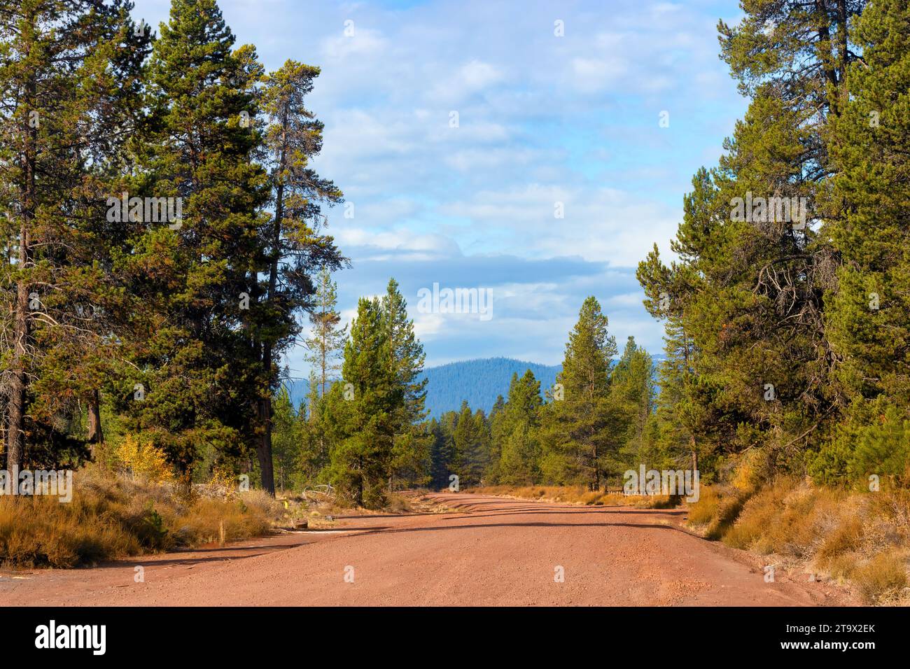 Una strada cinta di rosso conduce alla foresta di bastoni del Lodge nell'alto deserto dell'Oregon orientale nella contea di Klamath. Foto Stock