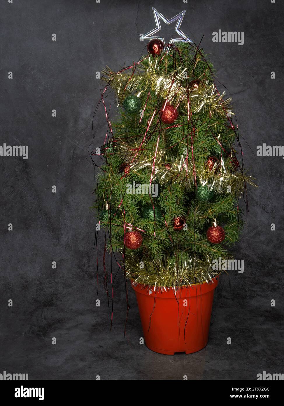 Piccolo vero albero di Natale con fiocco, baubles in pentola sullo sfondo Foto Stock