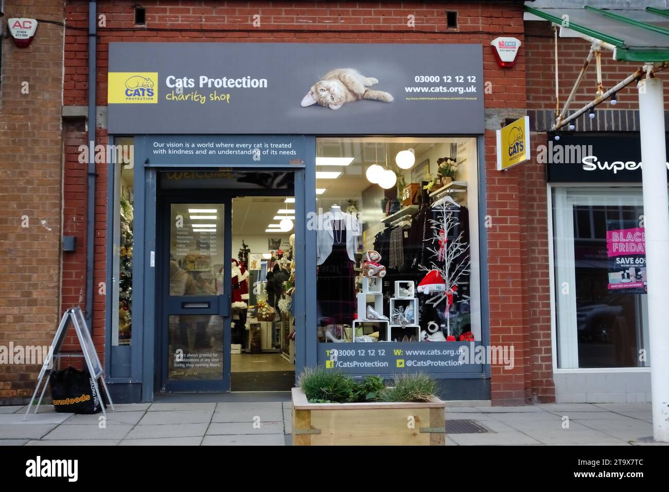 Negozio di beneficenza per la protezione dei gatti, Cleveleys Lancashire Foto Stock