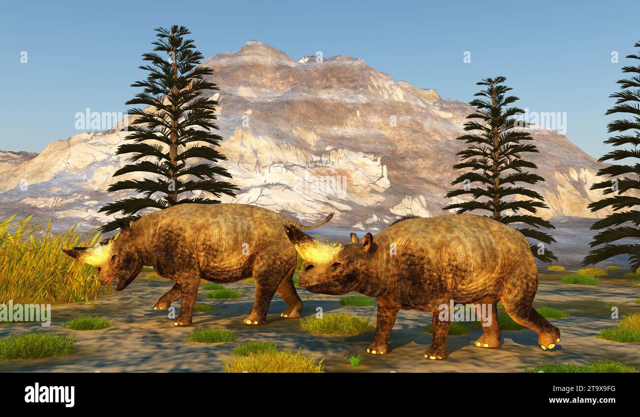L'Arsinoitherium era un mammifero pesante simile a un rinoceronte che visse in Africa durante l'Oligocene. Foto Stock