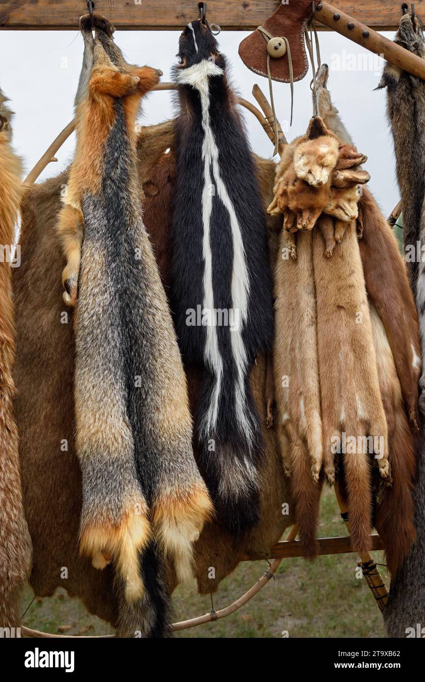Pelli di animali appese alla bacheca - con ascia Foto Stock