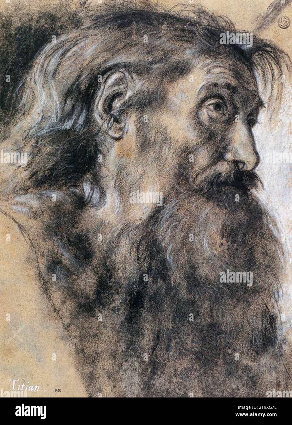 Capo di San Girolamo 1525-30 di Giovanni Girolamo Savoldo Foto Stock