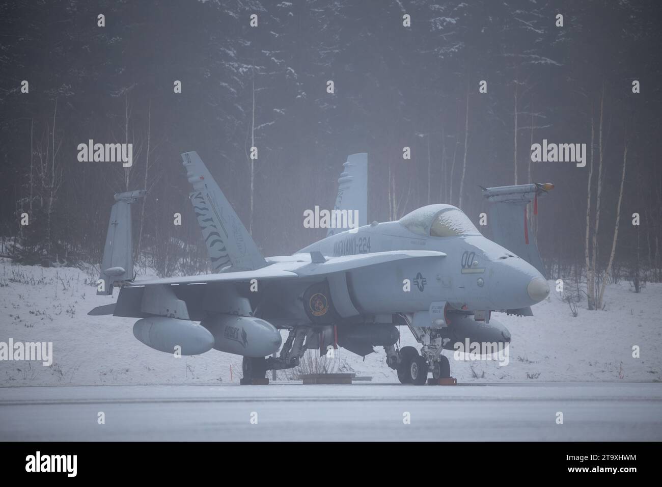 Un F/A-18C Hornet del corpo dei Marines degli Stati Uniti assegnato al Marine All Weather Fighter Attack Squadron (VMFA(AW)) 224 è messo in scena in preparazione per l'esercitazione Frozen Winds 23 presso la base aerea di Tampere-Pirkkala, Finlandia, 20 novembre 2023. L'FW23 è un'esercitazione marittima a guida finlandese a cui partecipano i Marines degli Stati Uniti assegnati alla Marine Rotational Force-Europe e le U.S. Navy Forces Europe. L'esercitazione serve come sede per aumentare la prontezza della Marina finlandese e aumentare l'interoperabilità tra Stati Uniti, Finlandia e NATO e alleati nella logistica operativa, incendi integrati e operazioni anfibie nel Baltico e nei suoi dintorni Foto Stock