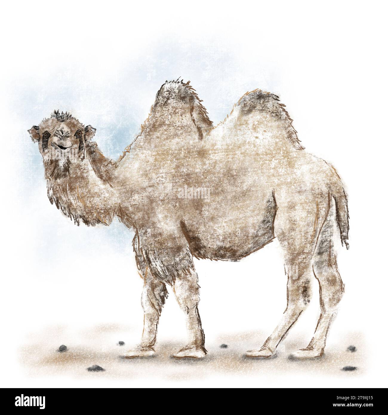 Divertente illustrazione del cammello nel deserto Foto Stock