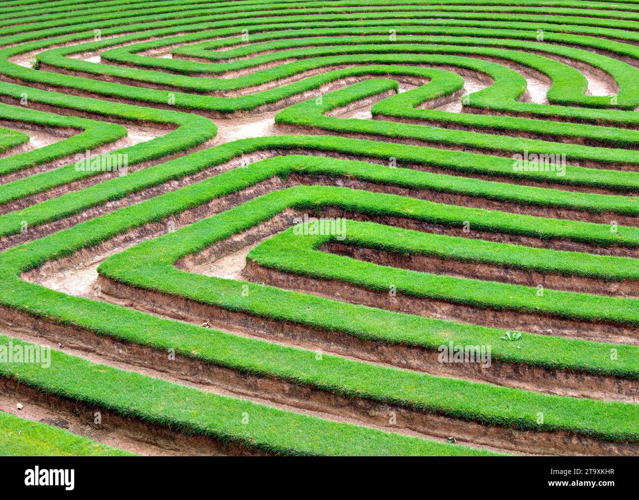 Prato di erba tagliata in un labirinto come modello di puzzle Foto Stock