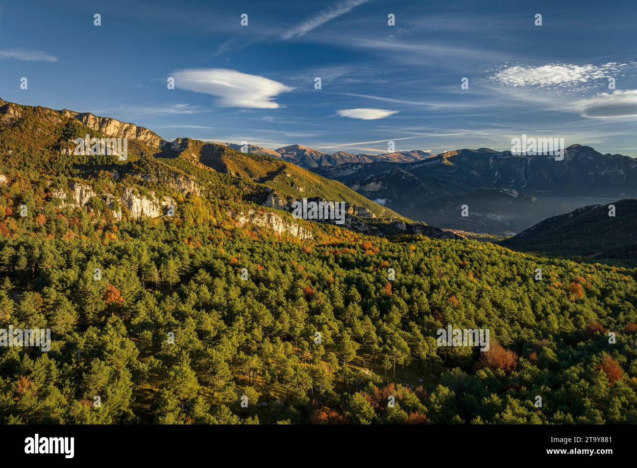 Vista aerea della foresta vicino a Figuerassa. Sullo sfondo, la valle del Llobregat all'alba (Berguedà, Barcellona, Catalogna, Spagna, Pirenei) Foto Stock