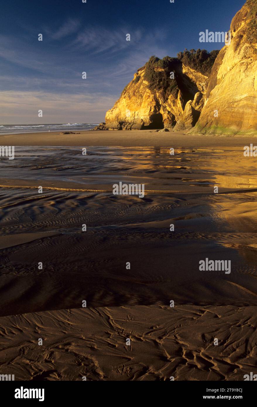 Spiaggia e operazioni automatiche di fine campo, abbraccio Point State Park, Oregon Foto Stock