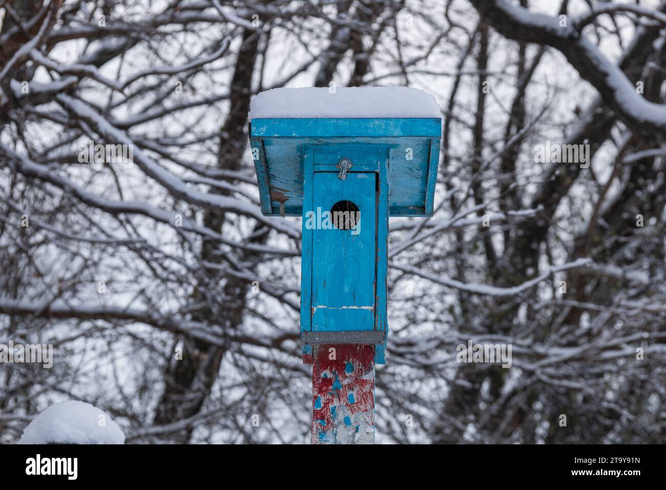 Blue Bird House in inverno Foto Stock