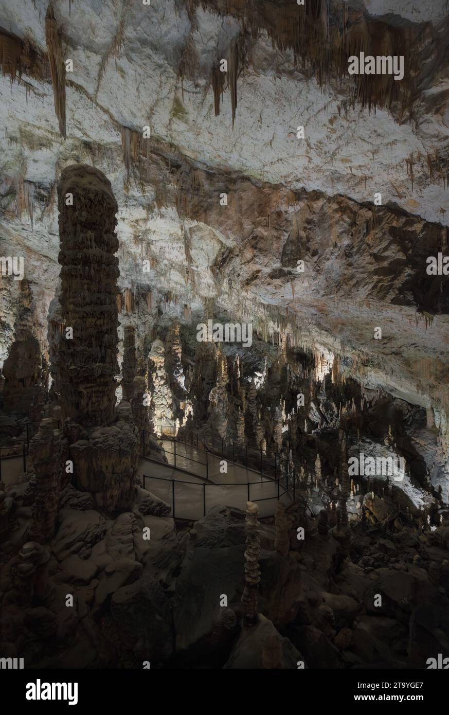 La ricerca dell'Arkenstone Foto Stock