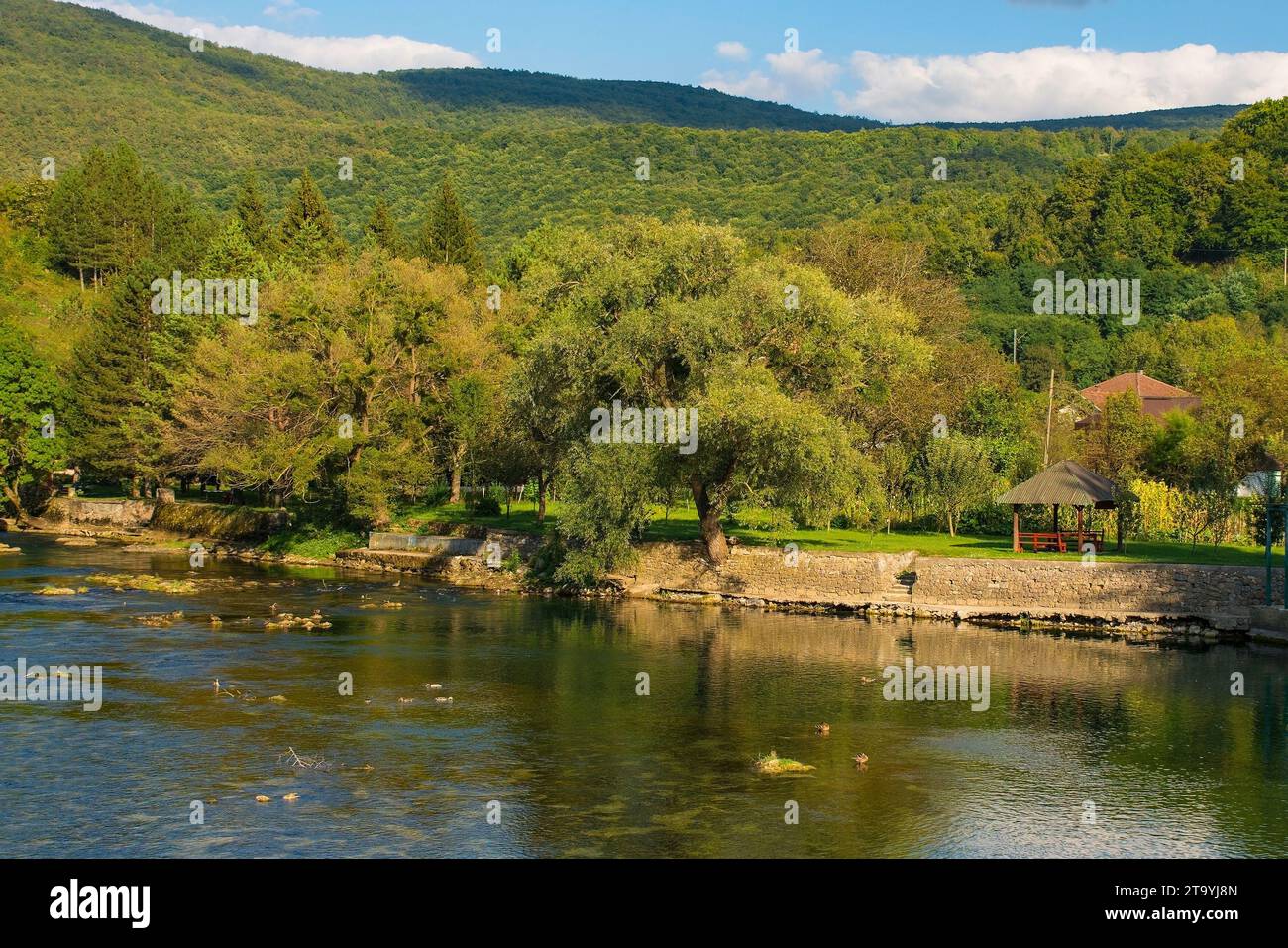 Il fiume una passa attraverso il villaggio di Kulen Vakuf nel Parco Nazionale di una. Una-sana Canton, Federazione di Bosnia-Erzegovina.inizio settembre Foto Stock