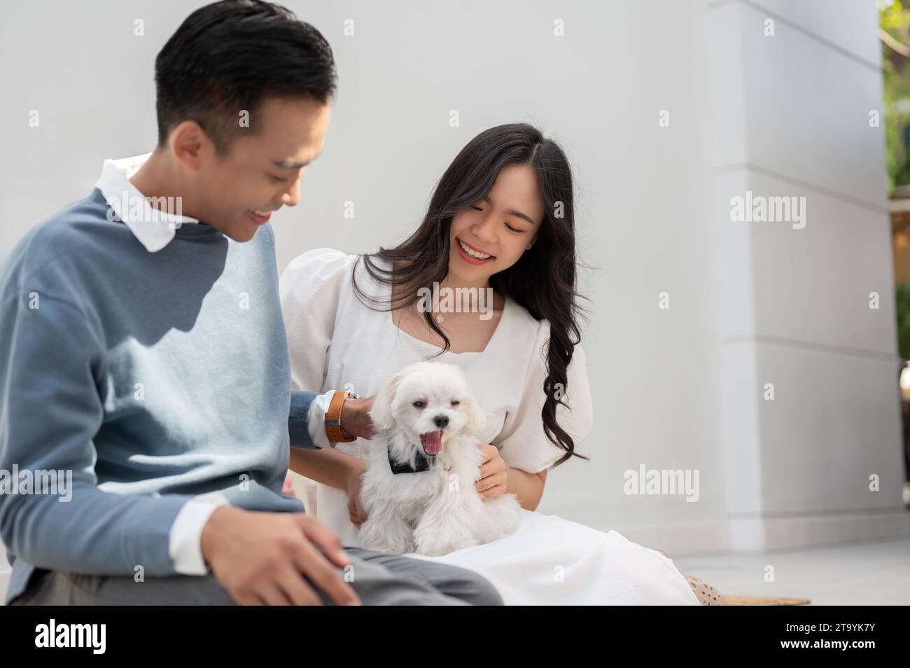 Giovane coppia asiatica con un piccolo cane carino, che passa del tempo in famiglia insieme. Concetto di coppia. Foto Stock