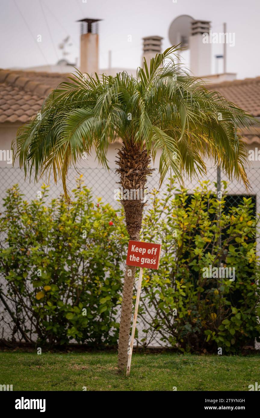 Tieni il cartello dell'erba, vicino a una palma, in Spagna Foto Stock