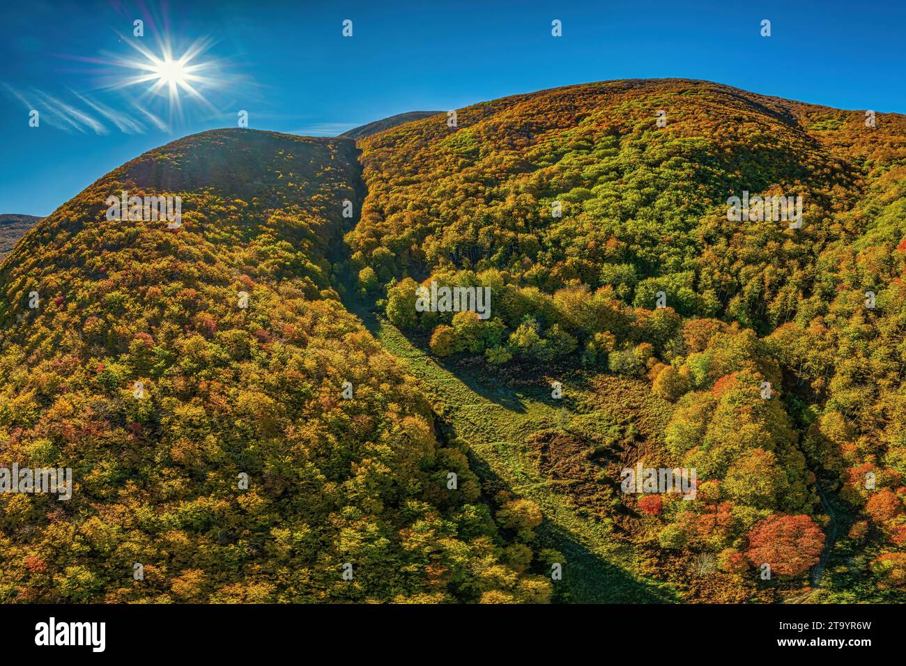 Veduta aerea delle montagne coperte da faggete con i colori del rosso, giallo, arancione e verde fogliame autunnale nel Parco Nazionale della Maiella Foto Stock