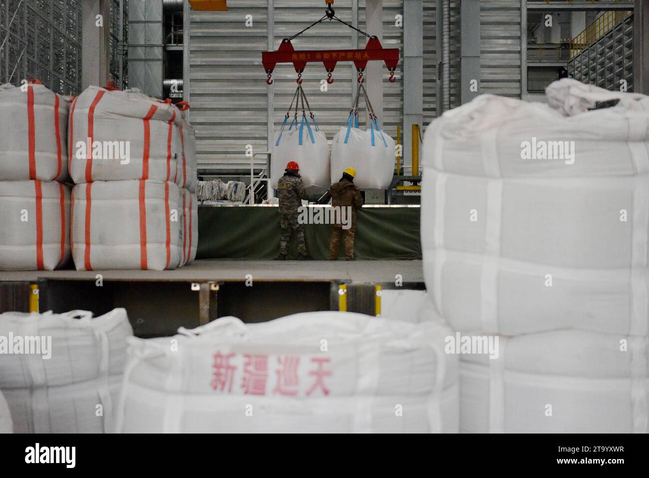 ZHANGJIAKOU, CINA - 28 NOVEMBRE 2023 - i lavoratori gettano materiali di semi di mais in un sistema di consegna privo di cadute presso la lavorazione delle sementi agricole XUNTIAN Foto Stock