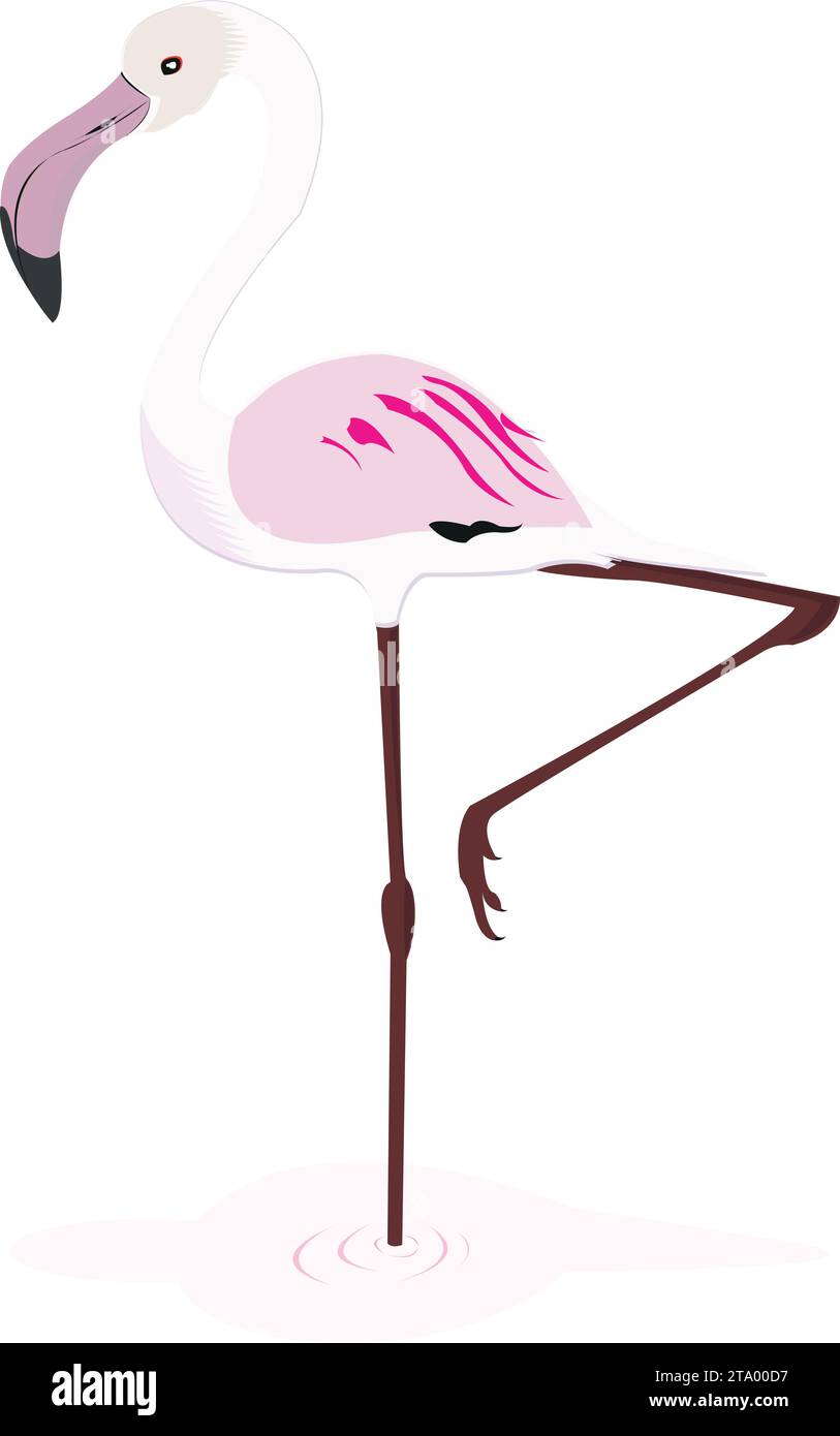 Pink flamingo. fenicottero rosa piatto carino e bello su sfondo bianco Illustrazione Vettoriale