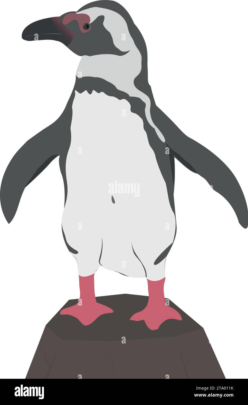 Pinguino africano Magellano Humboldt Galapagos. Piccolo animale carino. Grafica vettoriale. Uccello acquatico senza volo. Illustrazione Vettoriale
