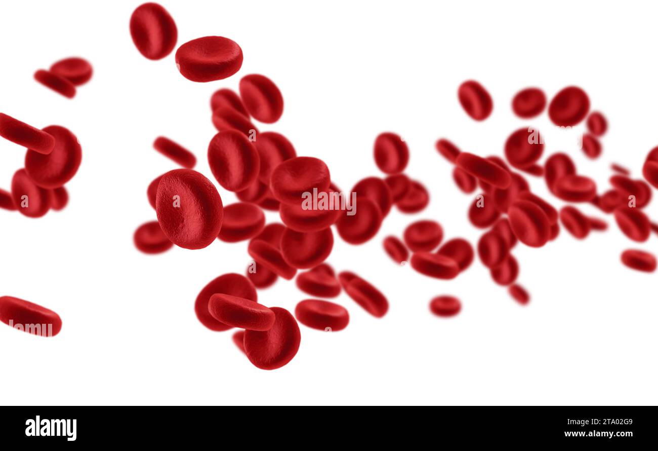 3D rendering globuli rossi in un'arteria, flusso all'interno del corpo, assistenza sanitaria umana medica su sfondo bianco Foto Stock