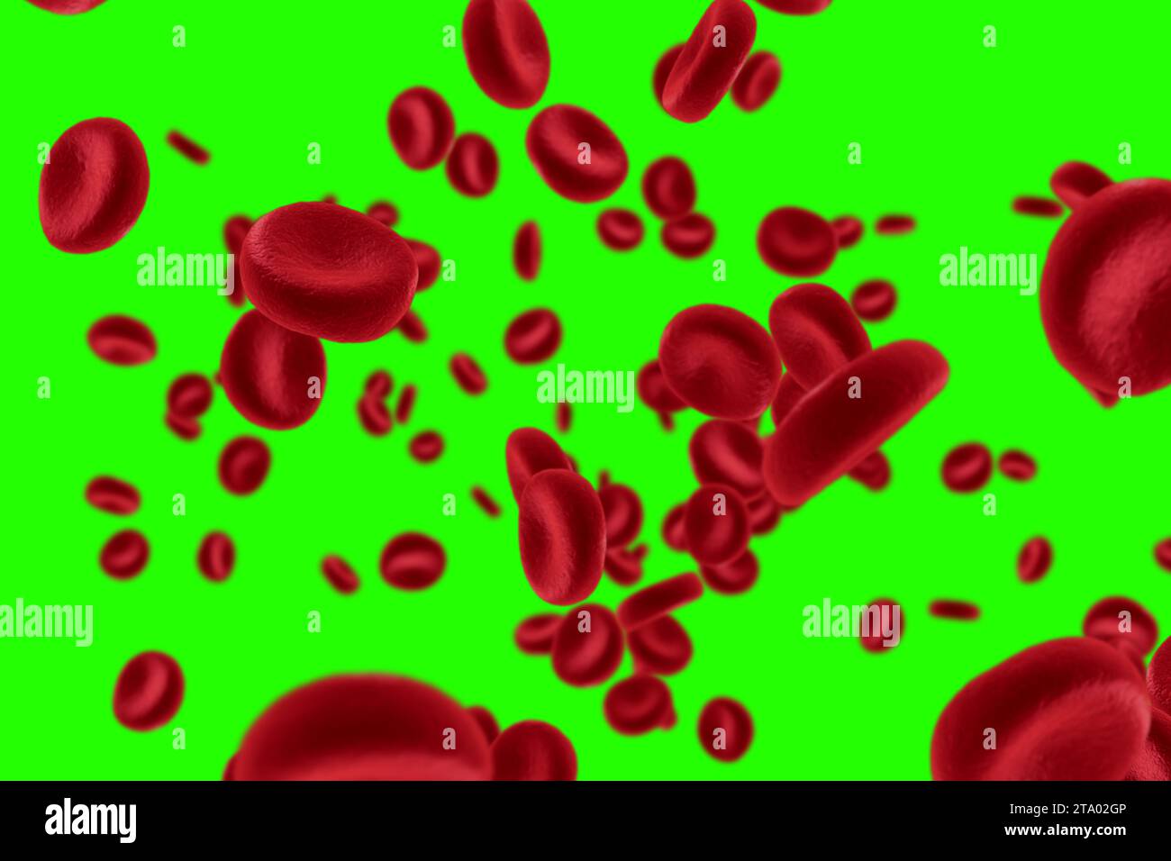 3D rendering globuli rossi in un'arteria, flusso all'interno del corpo, assistenza sanitaria umana medica su sfondo cromatico chiave schermo verde Foto Stock