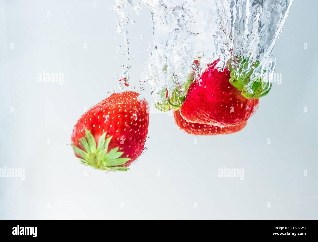 fragole di frutta fresca rossa che cadono in acqua con spruzzi su fondo bianco, fragole per la salute e la dieta, concetto nutrizionale Foto Stock