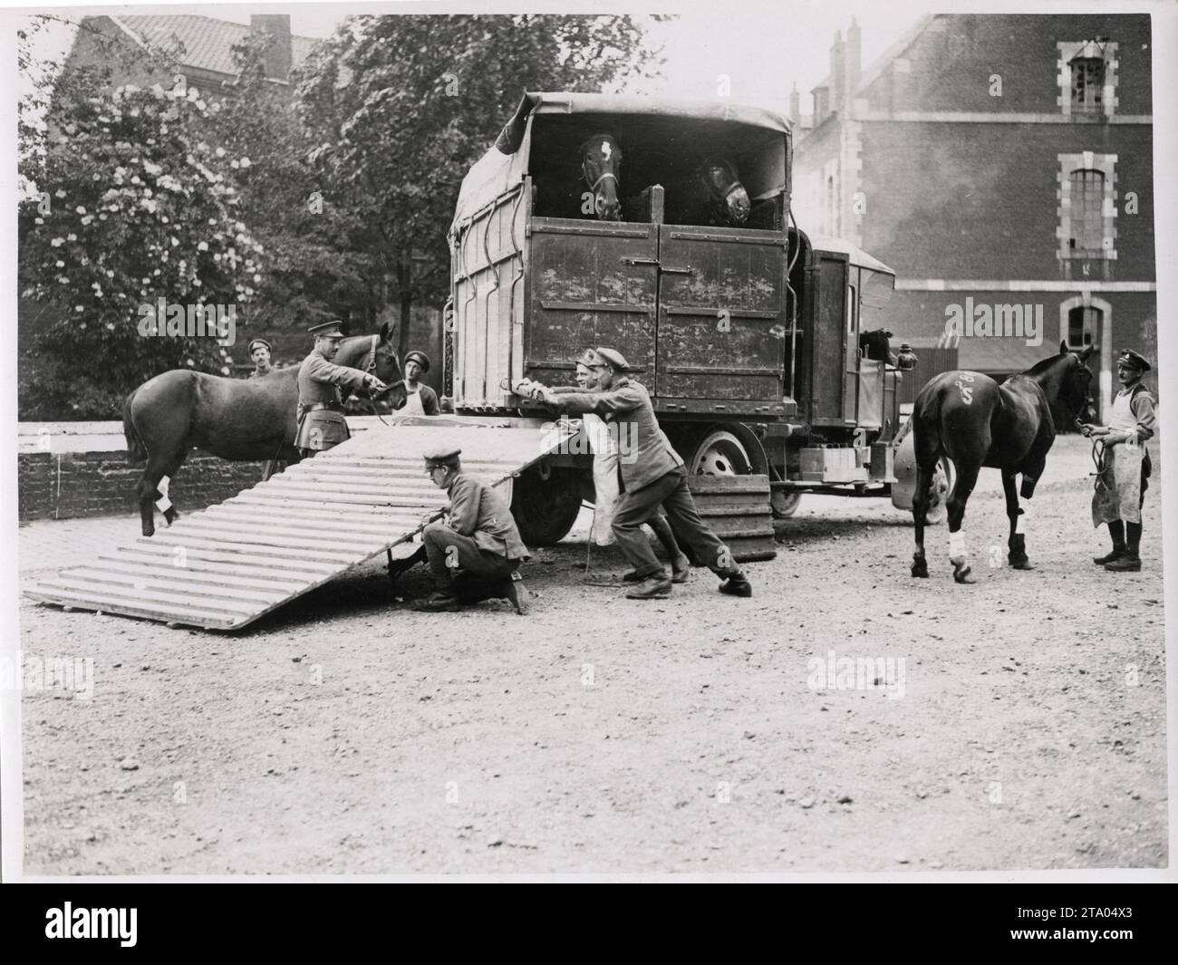 Prima guerra mondiale - ambulanza a cavallo, Francia Foto Stock