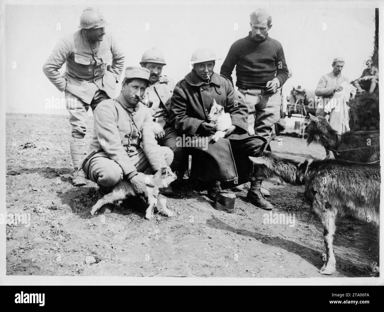 Prima guerra mondiale - soldati britannici e francesi che giocano con due capre, Francia Foto Stock