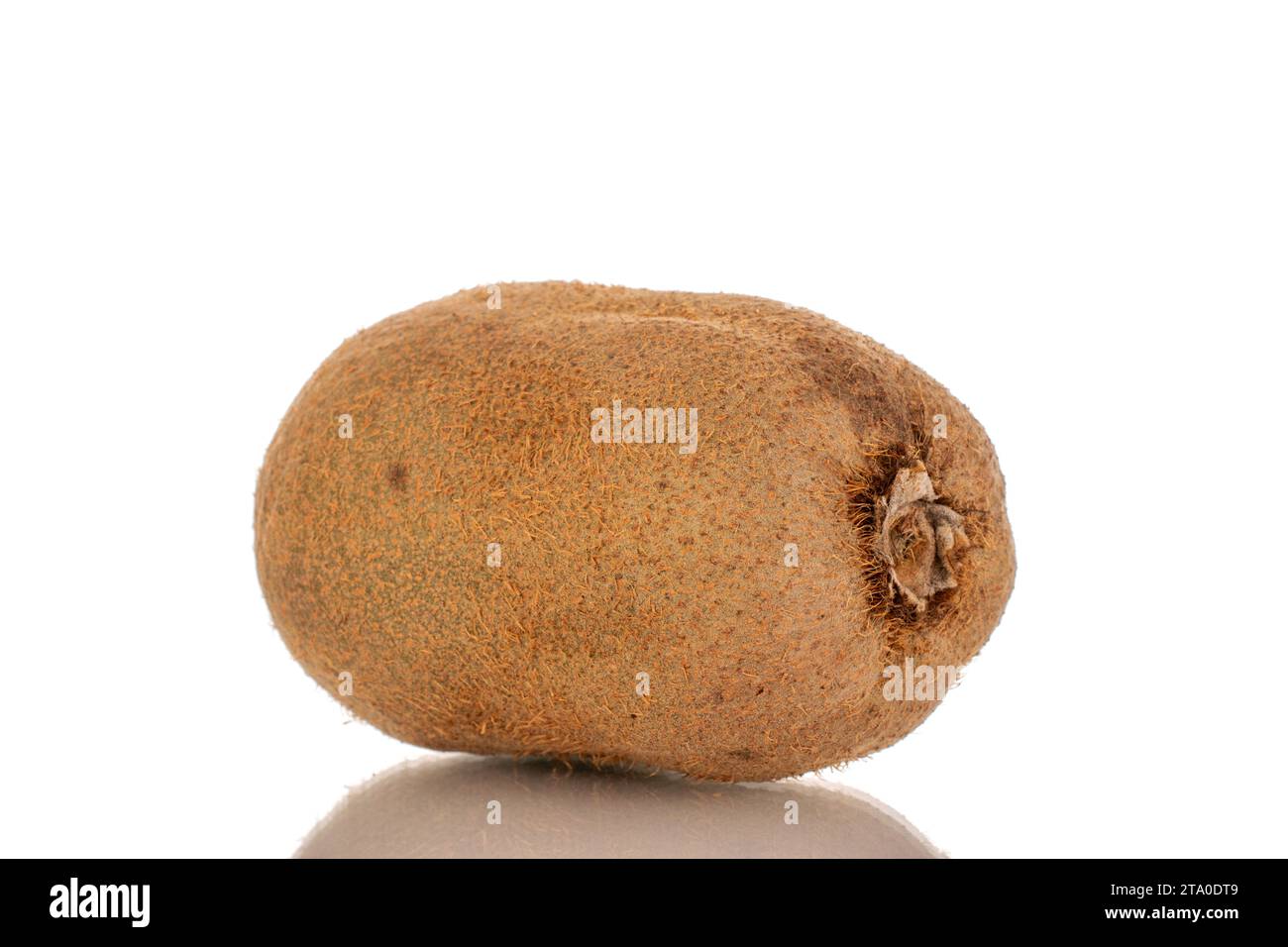 Un kiwi dolce maturo, macro, isolato su sfondo bianco. Foto Stock