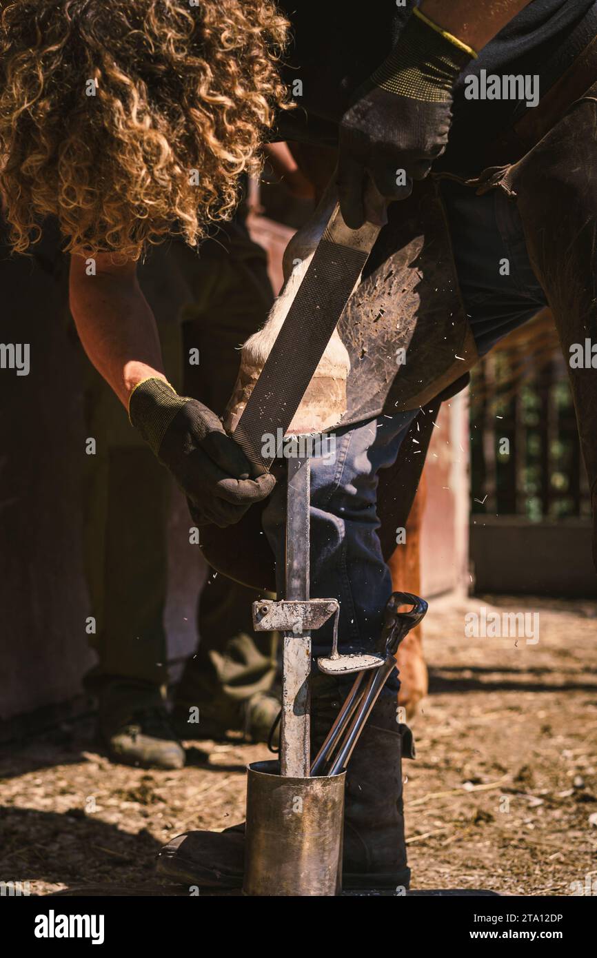 La fattoria sta preparando lo zoccolo per le racchette da cavallo. Lui rimuove, raspa fuori il muro in eccesso dello zoccolo. Forma il tronchetto del chiodo con una raspa per zoccoli. Foto Stock