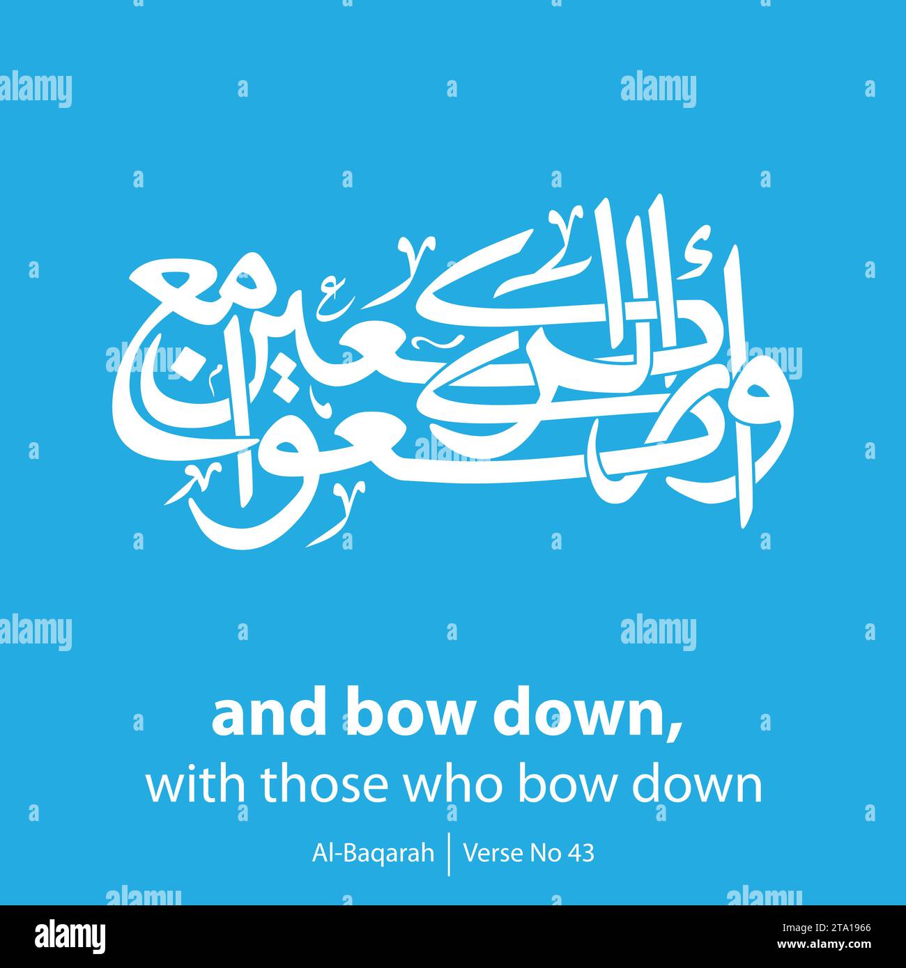 Art calligraphy, inglese tradotto come, and bow down with those who bow down, versetto No 43 da al-Baqarah Illustrazione Vettoriale
