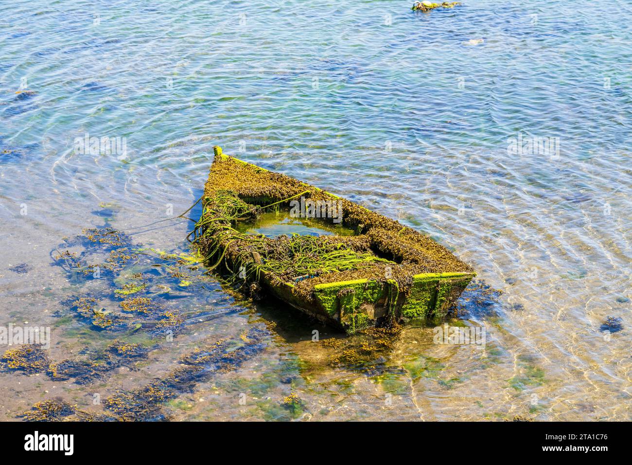 Vecchia barca overgrown, sull'acqua Combarro, Spagna, Galizia Foto Stock