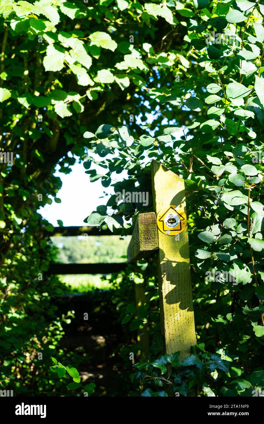 Un Monarch's Way Marker in una parte del Somerset, Inghilterra, Regno Unito. Foto Stock