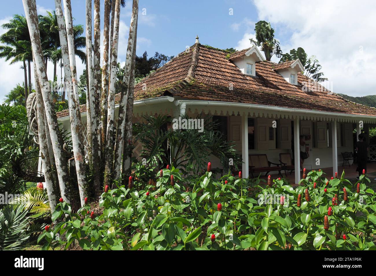 Le jardin de Balata est un jardin botanique privé de Fort-de-France, Route de Balata, Martinica, Antille Foto Stock