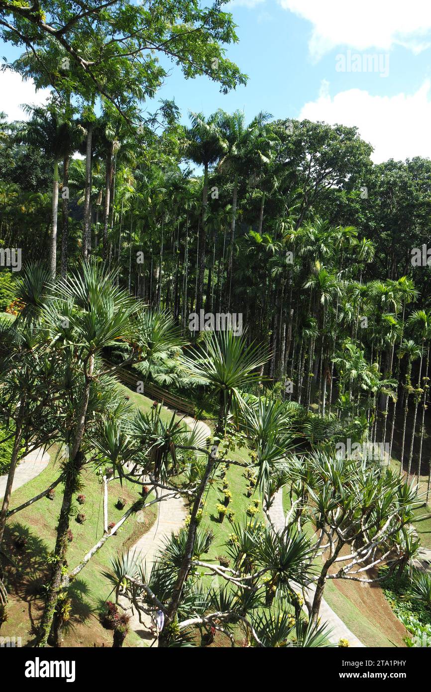 Le jardin de Balata est un jardin botanique privé de Fort-de-France, Route de Balata, Martinica, Antille Foto Stock