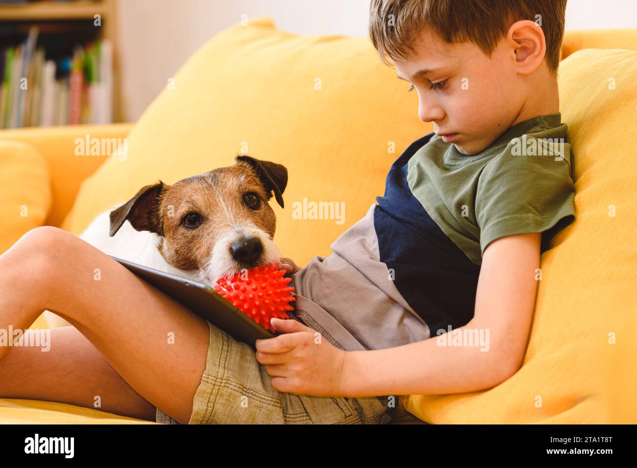 Attenzione alla ricerca del concetto di comportamento del cane. Il cane annoiato disturba il ragazzo che guarda video su un tablet Foto Stock